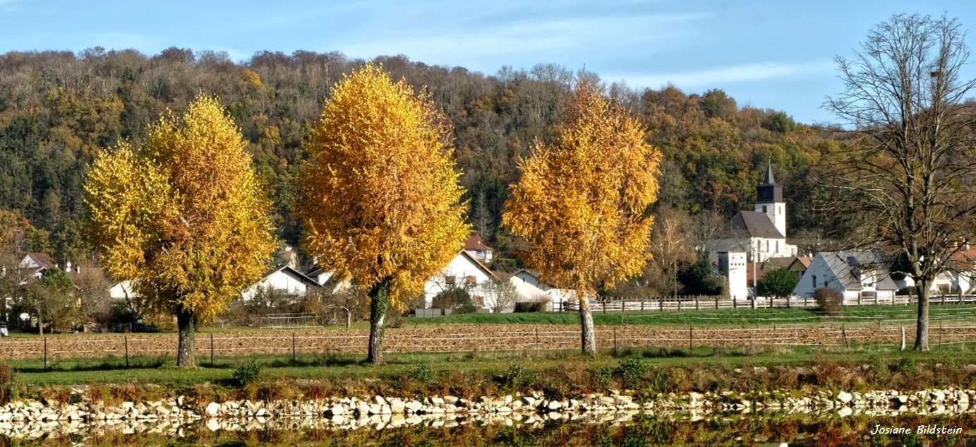 Tagolsheim